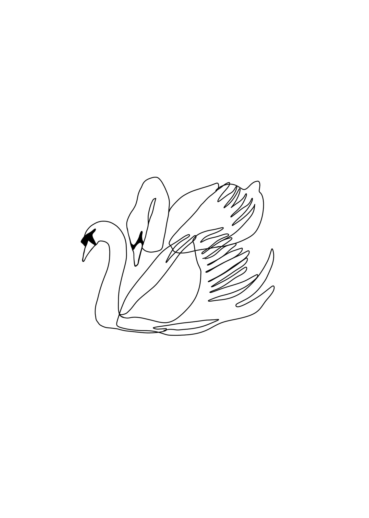 Deux cygnes
