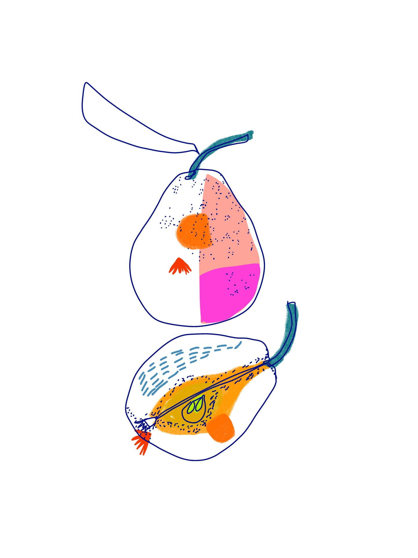 Toujours des poires