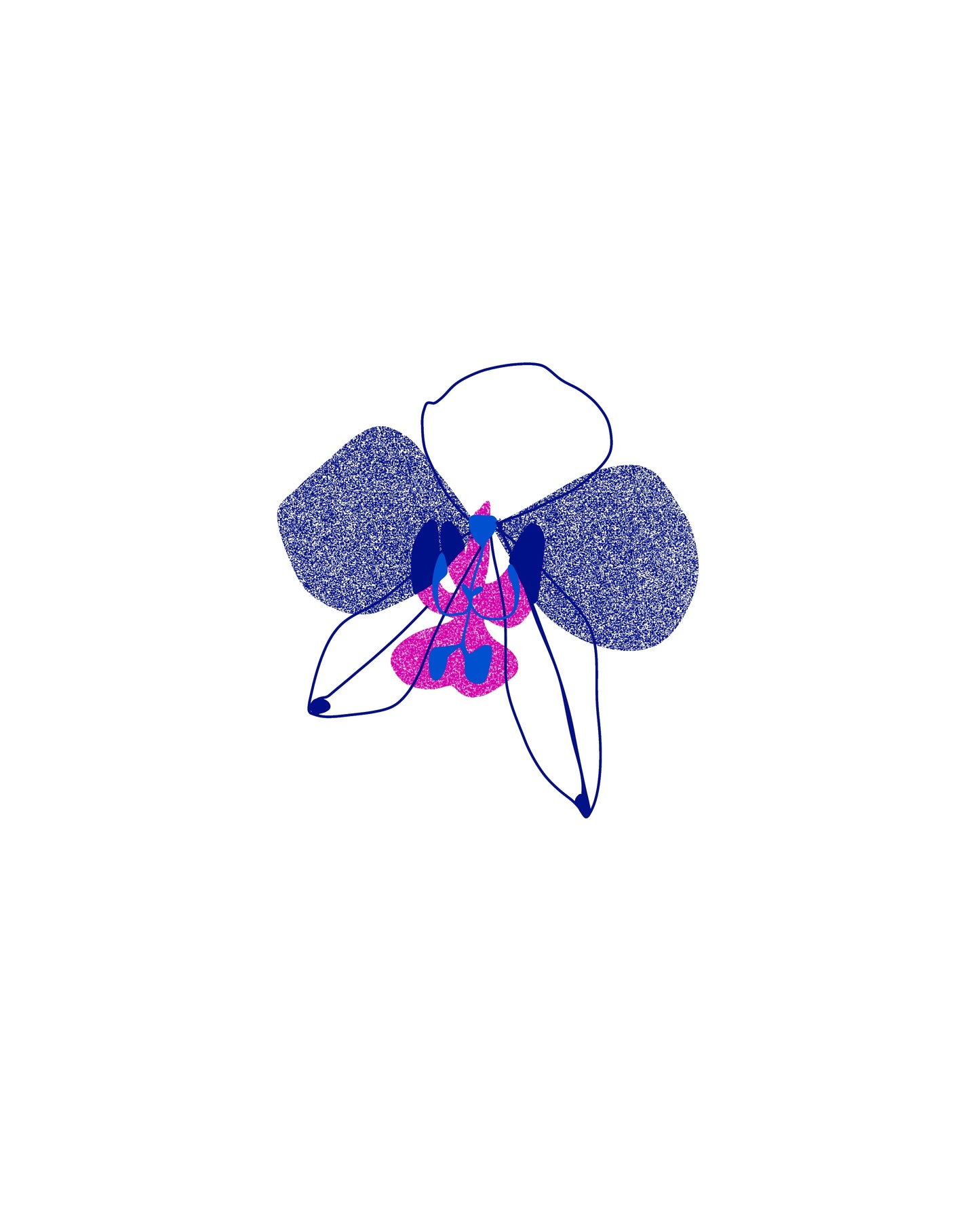Petite orchidée