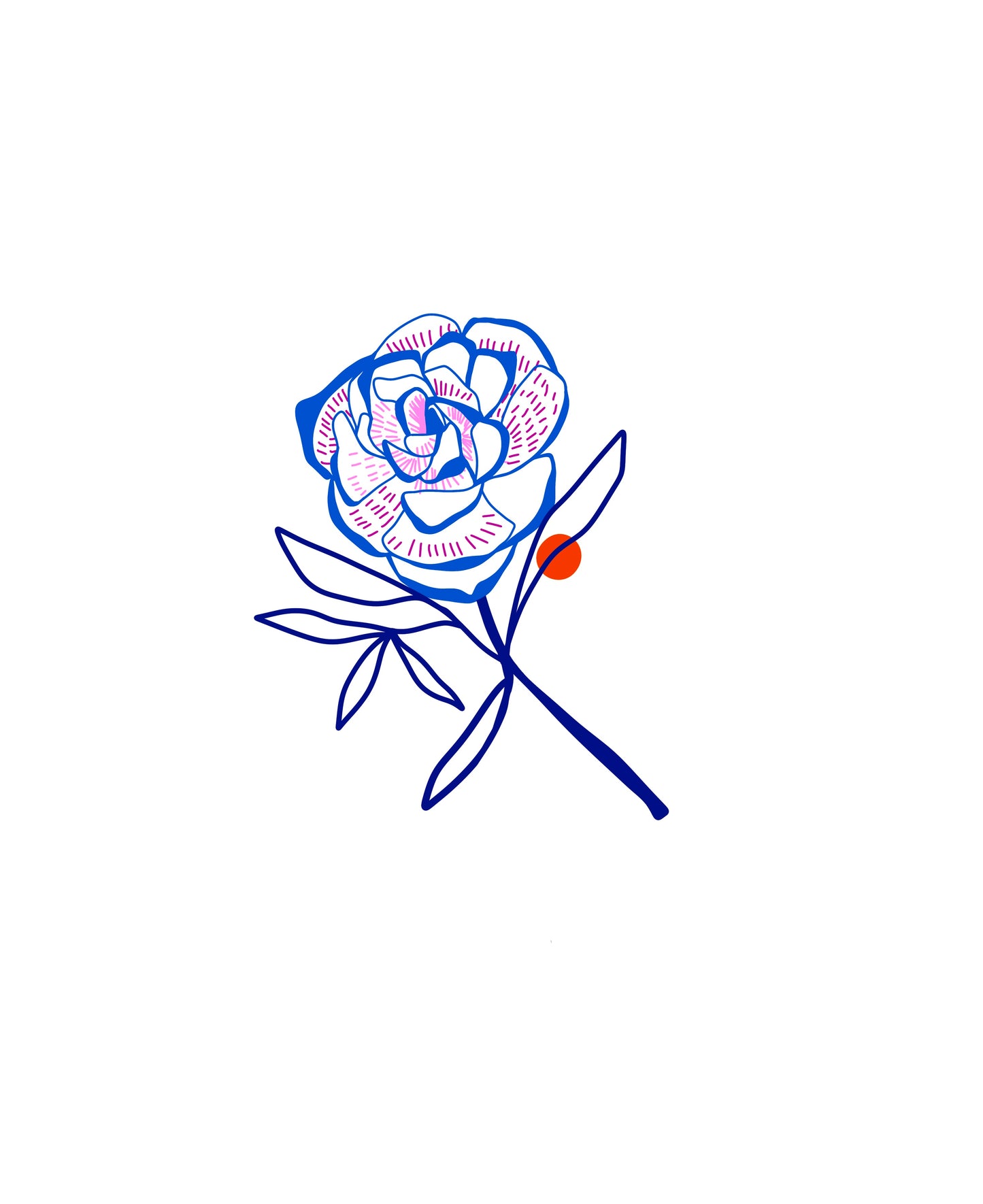 Rose bleue