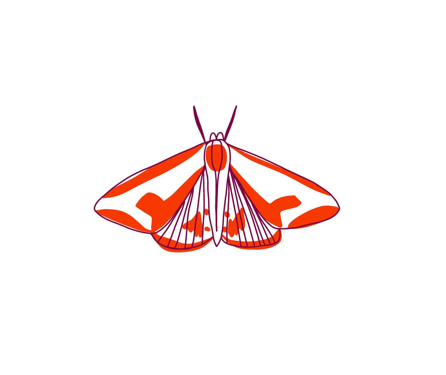 Papillon de nuit rouge