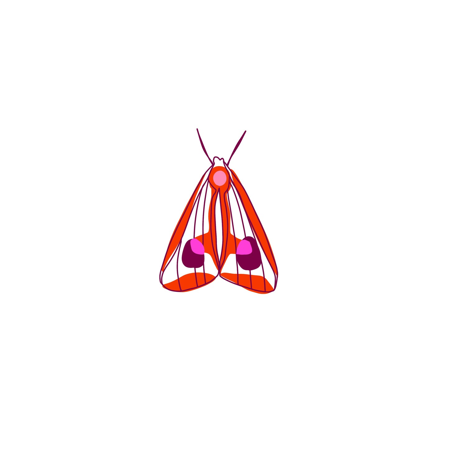 Petit papillon de nuit rouge