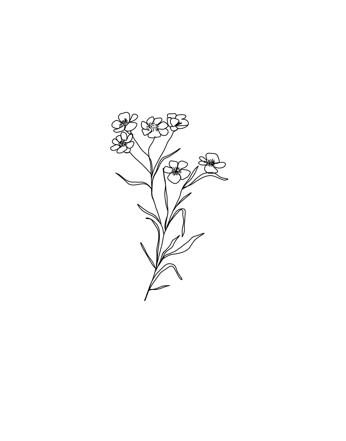 épilobe des montagnes