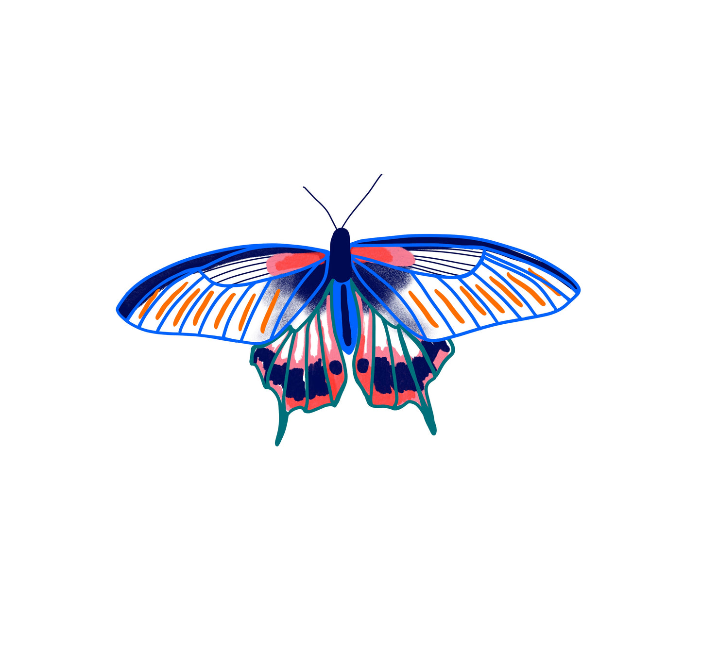 Papillon