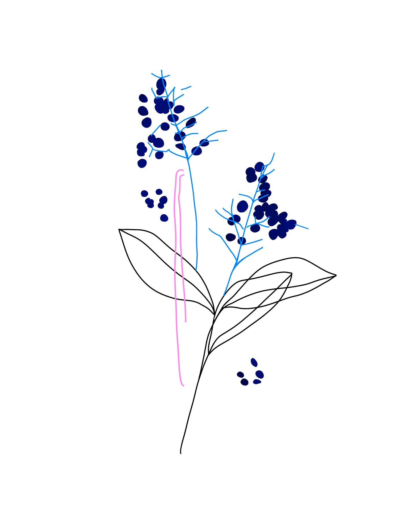 Branche de fruits bleus